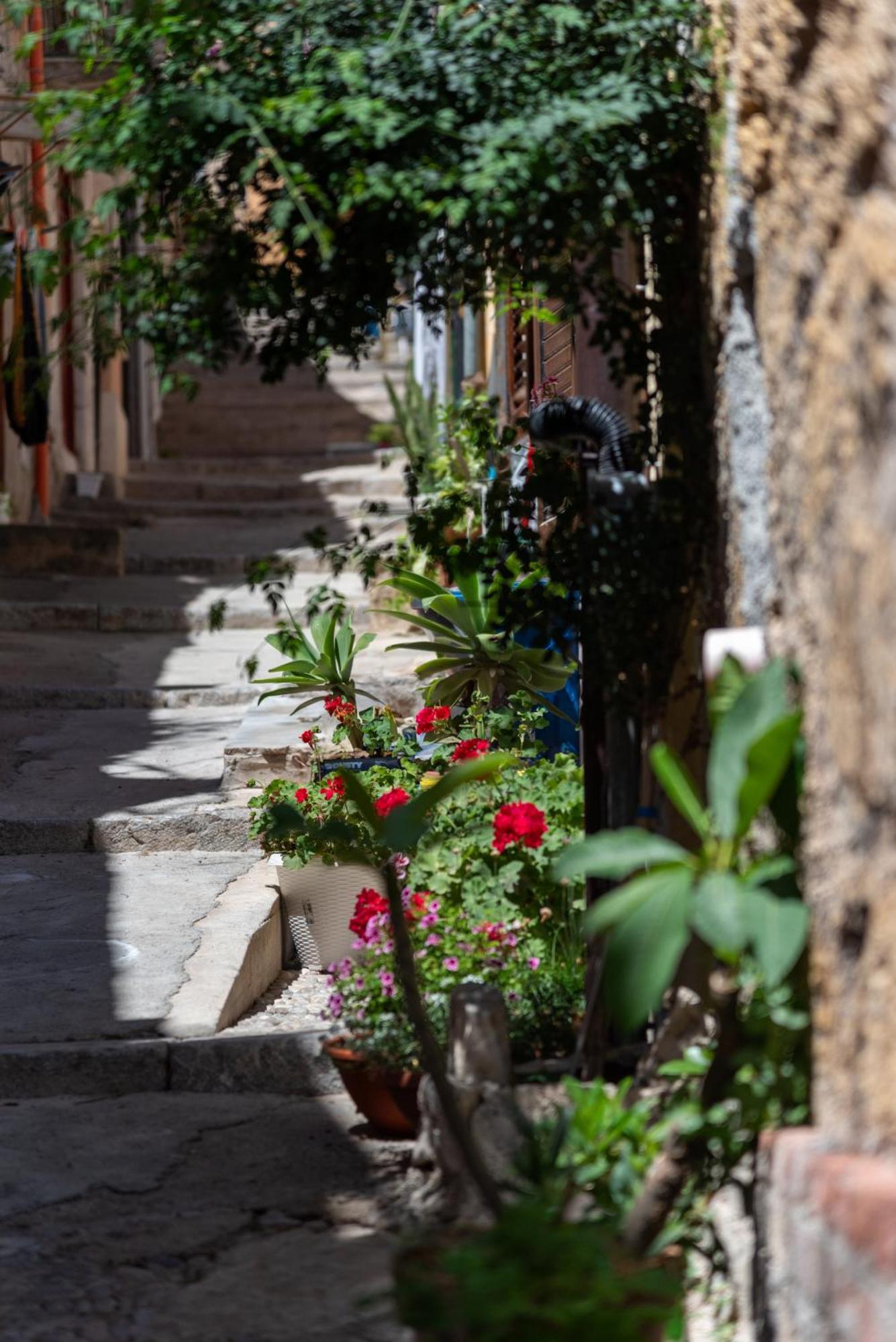 La Mia Deliziosa Casetta Di Giu Termini Imerese Exterior foto